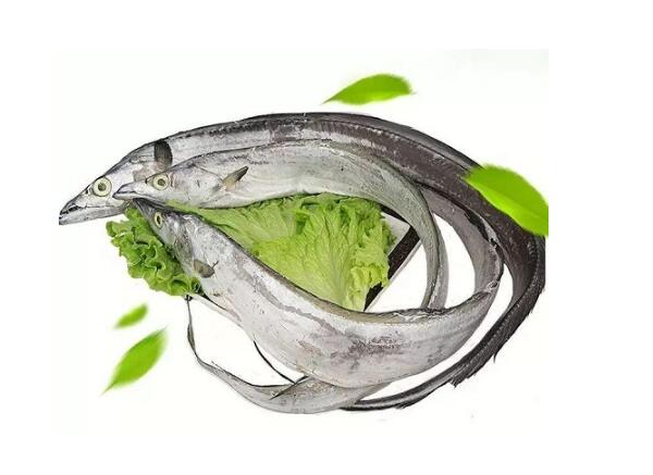 巴基斯坦凍帶魚進口報關(guān)清關(guān)代理服務【經(jīng)典案例】